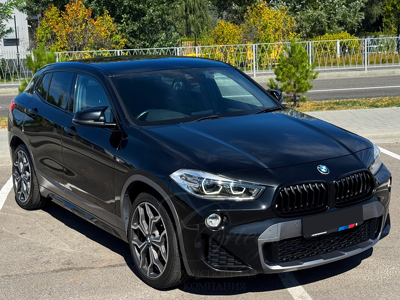 BMW X series (black)