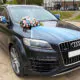 Audi Q7 (black)
