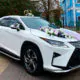Lexus RX (white)