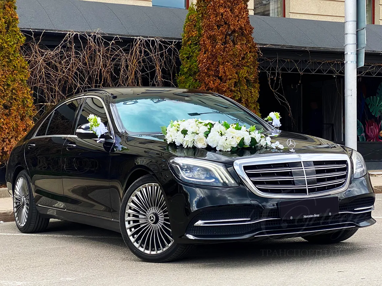 Mercedes-Benz S W222 R long (black)