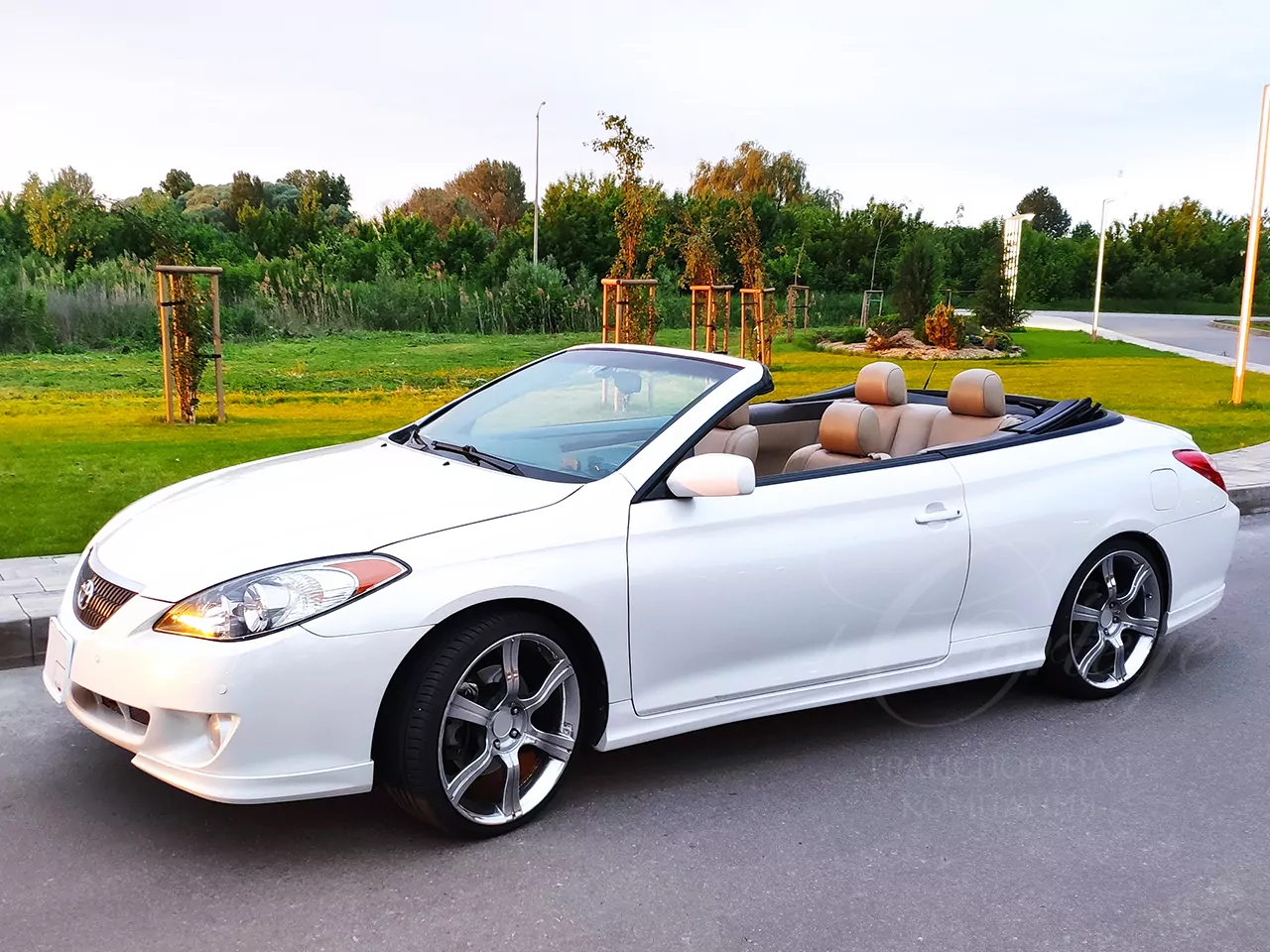 Toyota Solara cabrio (white)