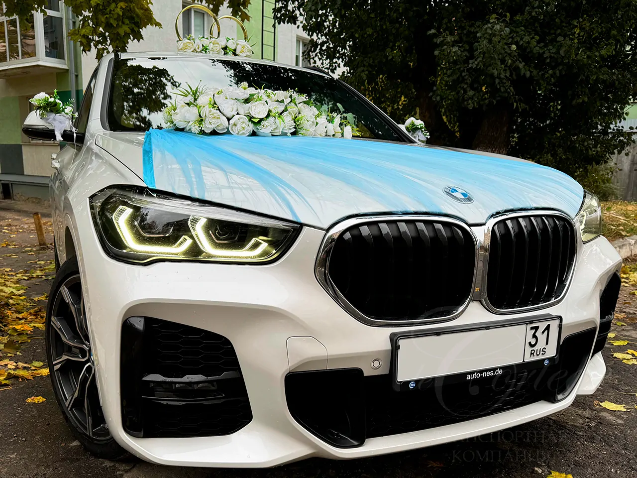 BMW X series (white)