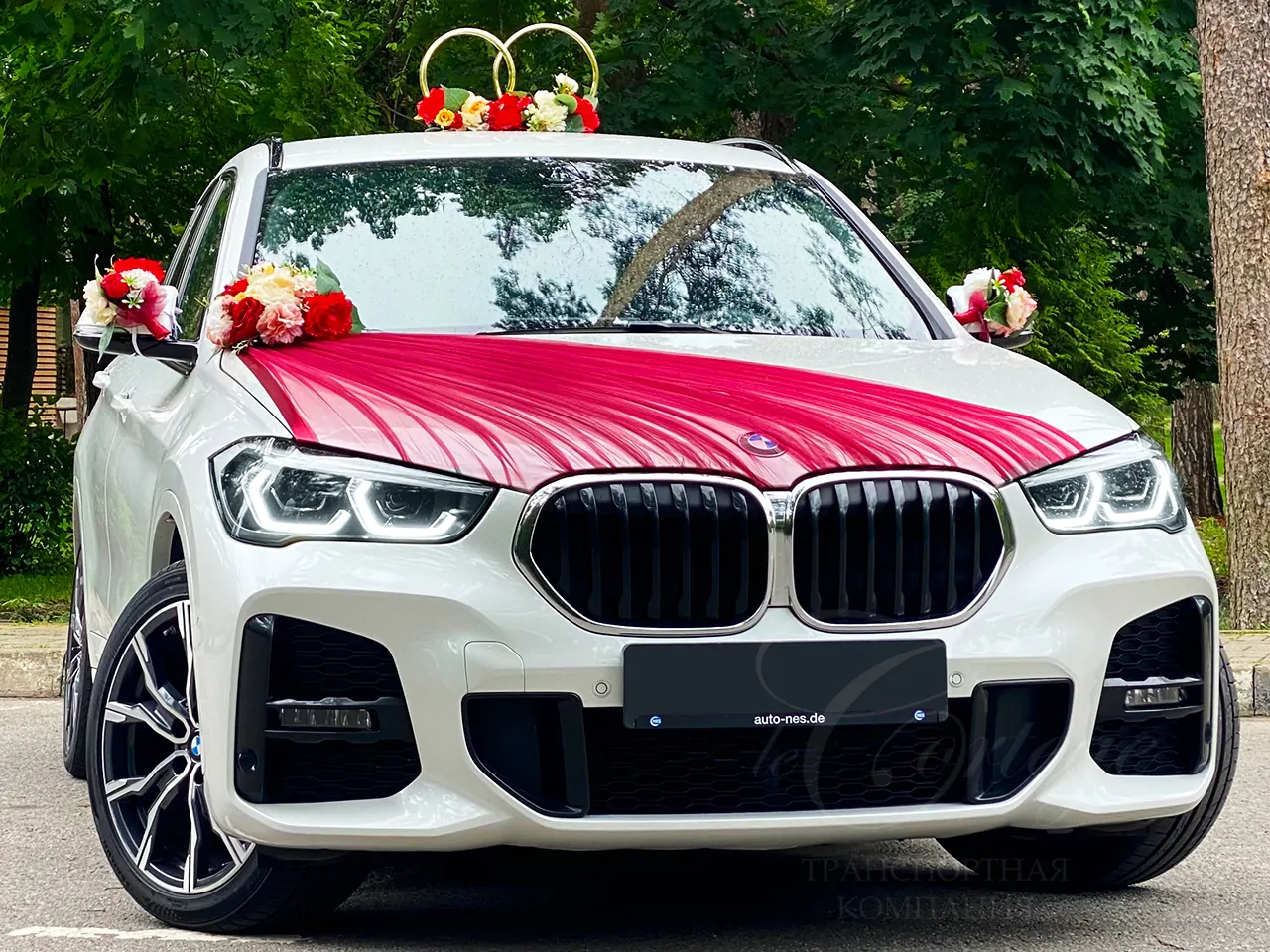 BMW X series (white)