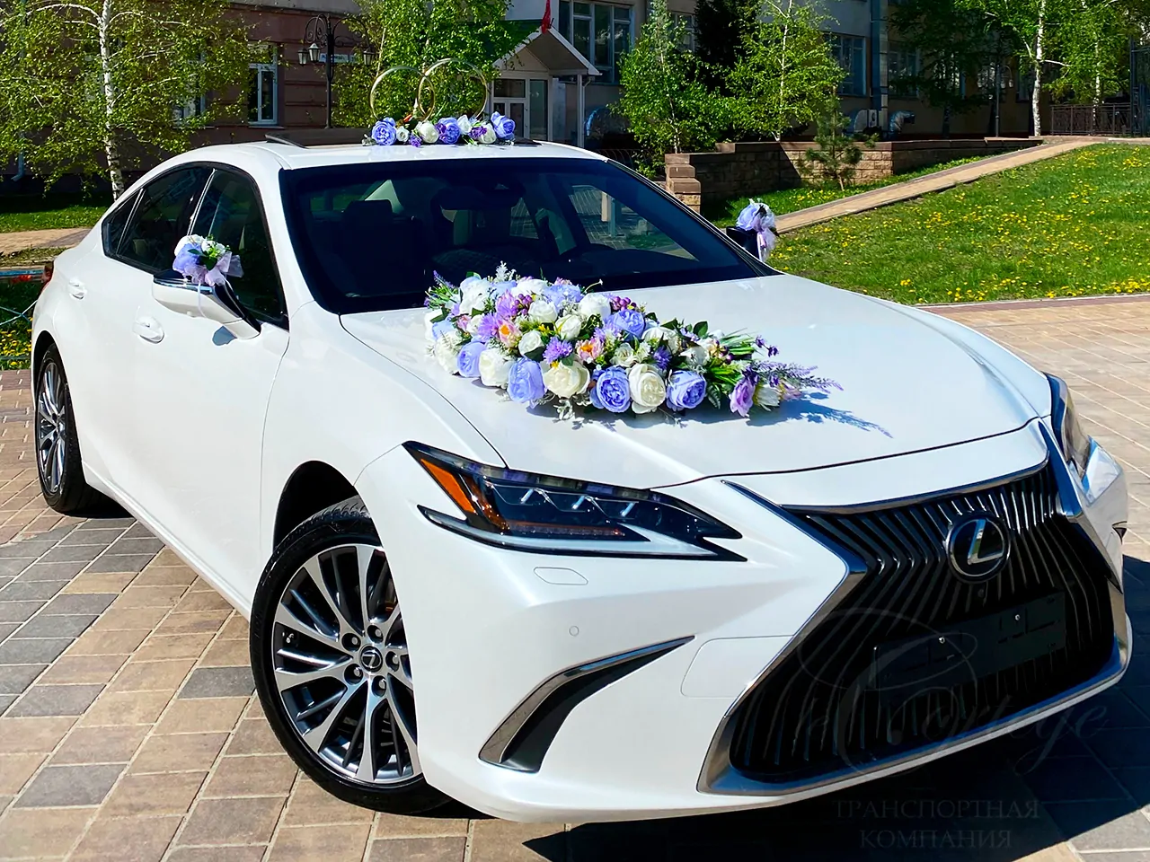 Lexus ES (white)