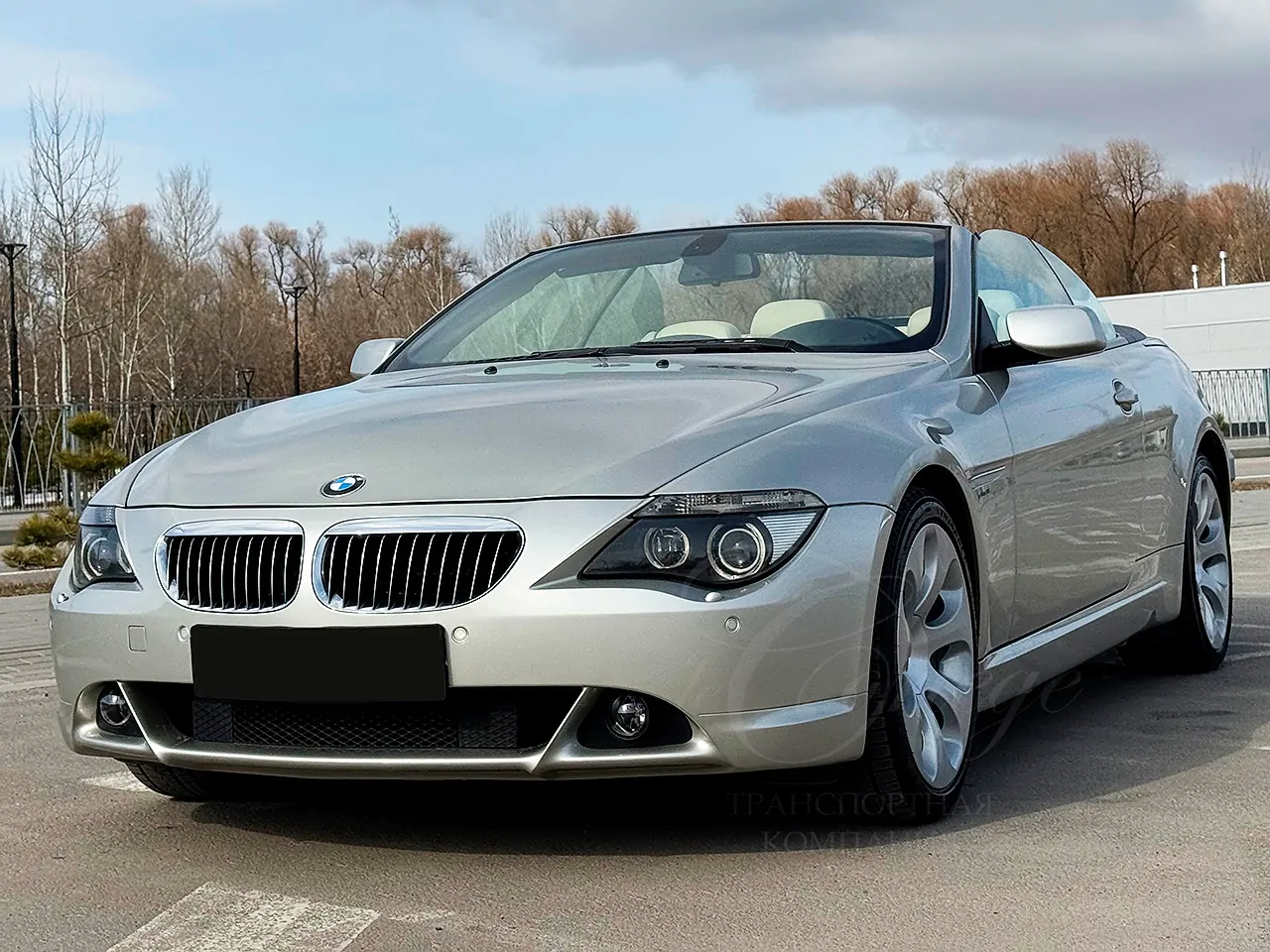 BMW-6 cabrio (gray)