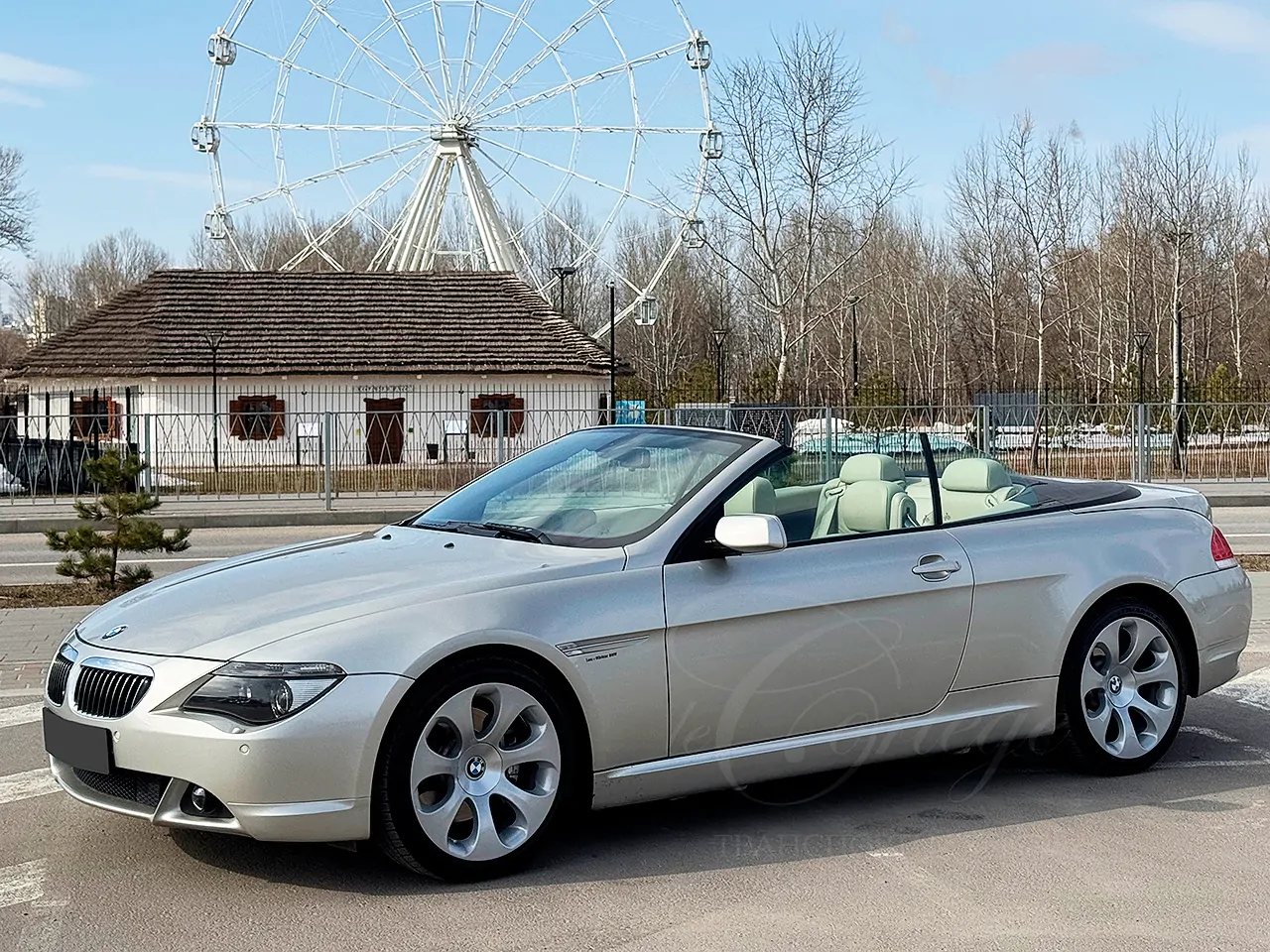 BMW-6 cabrio (gray)